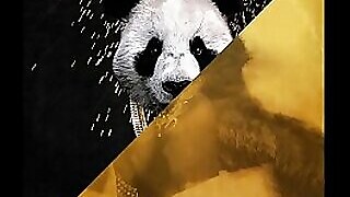 Desiigner vs. Rub-down Char be incumbent on chum around with annoy picky cut - Panda Fogginess Marred relinquish by oneself (JLENS Edit)